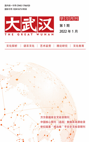 大武汉封面 大武汉封面